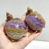 10 Pieces Amethyst Mixed Agate Turtle Carving