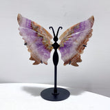 5 Pairs Amethyst Mixed Stripe Agate Butterfly Wing Carving With Stand - Wholesale Crystals
