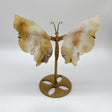 5 Pairs Sakura Flower Agate Butterfly Wing Carving With Stand - Wholesale Crystals