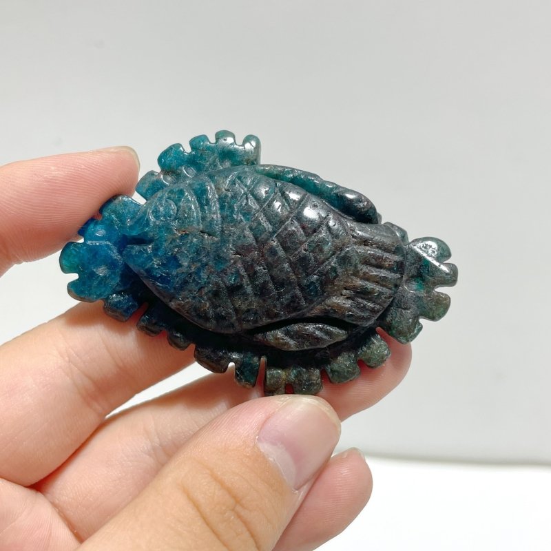 5 Pieces Apatite Sea Animals Carving - Wholesale Crystals