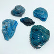 5 Pieces Apatite Sea Animals Carving - Wholesale Crystals