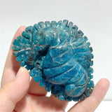 5 Pieces Apatite Sea Animals Carving - Wholesale Crystals