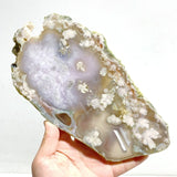 5 Pieces Beautiful Large Green Sakura Flower Agate Slabs - Wholesale Crystals