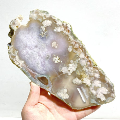 5 Pieces Beautiful Large Green Sakura Flower Agate Slabs - Wholesale Crystals