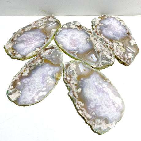5 Pieces Beautiful Large Green Sakura Flower Agate Slabs - Wholesale Crystals