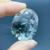 5 Pieces Butterfly Garden Quartz Inner Scene Carving - Wholesale Crystals