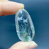 5 Pieces Butterfly Garden Quartz Inner Scene Carving - Wholesale Crystals
