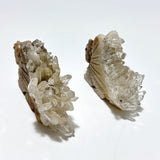 5 Pieces Cute Quartz Cluster Animals Carving - Wholesale Crystals