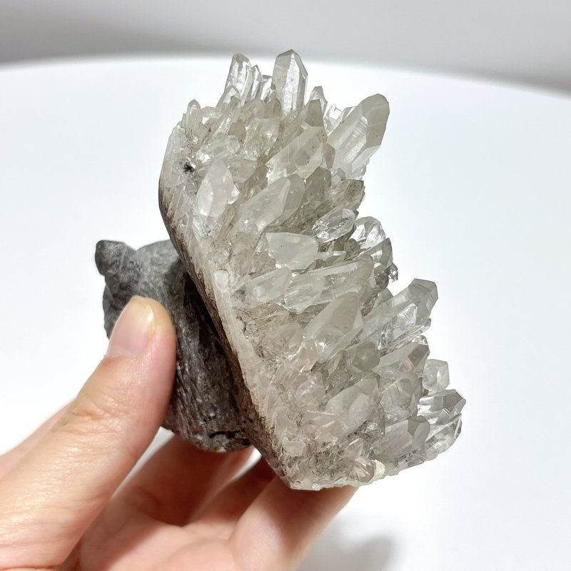 5 Pieces Cute Quartz Cluster Animals Carving - Wholesale Crystals