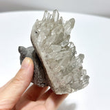 5 Pieces Cute Quartz Cluster Animals Carving - Wholesale Crystals