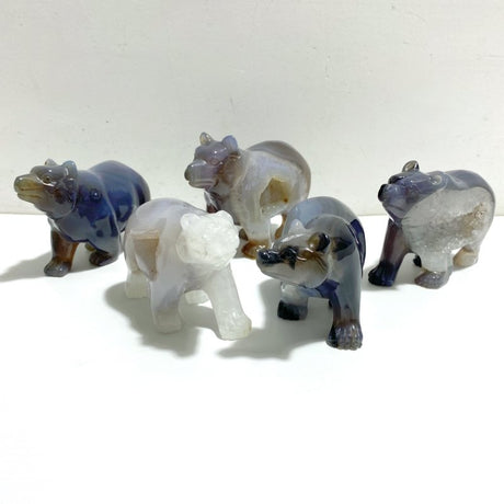 5 Pieces Geode Druzy Agate Bear Carving - Wholesale Crystals