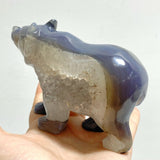 5 Pieces Geode Druzy Agate Bear Carving - Wholesale Crystals