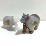 5 Pieces Geode Druzy Agate Bear Carving - Wholesale Crystals