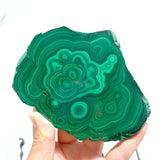 5 Pieces High Quality Malachite Specimen With Stand For Collection - Wholesale Crystals