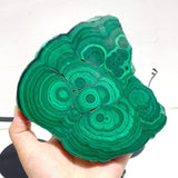 5 Pieces High Quality Malachite Specimen With Stand For Collection - Wholesale Crystals