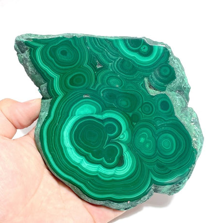 5 Pieces High Quality Malachite Specimen With Stand For Collection - Wholesale Crystals