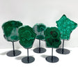 5 Pieces High Quality Malachite Specimen With Stand For Collection - Wholesale Crystals