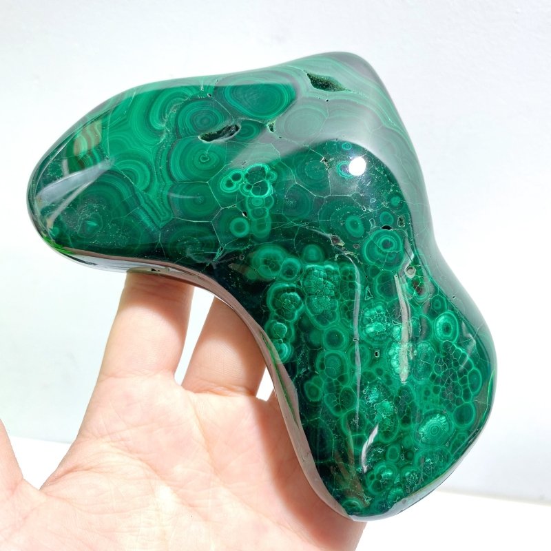 5 Pieces High Quality Polished Malachite Free Form - Wholesale Crystals