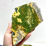 5 Pieces Large 8th Vein Ocean Jasper Slabs - Wholesale Crystals
