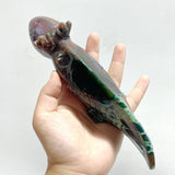 5 Pieces Ocean Jasper Chinese Giant Salamander Carving - Wholesale Crystals