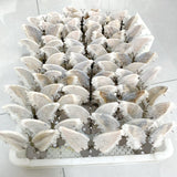 Clear Quartz Cluster Butterfly Wing With Stand Wholesale