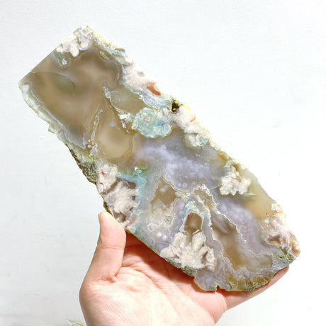 6 Pieces Large Green Sakura Flower Agate Slabs