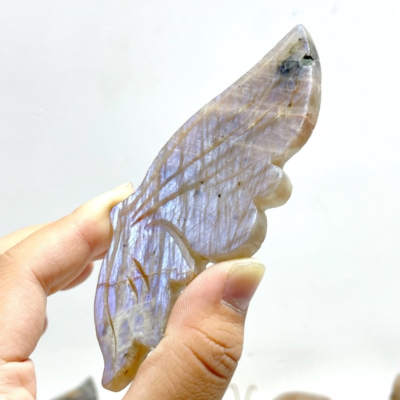6 Pairs Sunstone Mixed Moonstone Butterfly Wing Carving With Stand - Wholesale Crystals