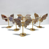 6 Pairs Sunstone Mixed Moonstone Butterfly Wing Carving With Stand - Wholesale Crystals
