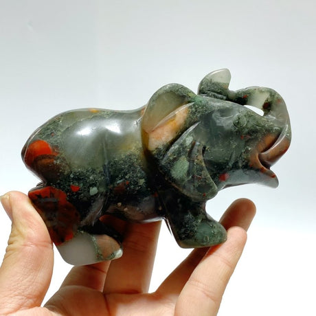 6 Pieces Africa Blood Stone Elephant Carving - Wholesale Crystals
