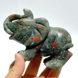 6 Pieces Africa Blood Stone Elephant Carving - Wholesale Crystals