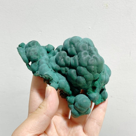 6 Pieces Beautiful High Quality Raw Malachite Specimen - Wholesale Crystals