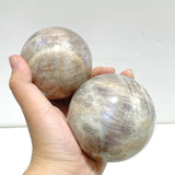 6 Pieces Big Sunstone Mixed Moonstone Spheres - Wholesale Crystals