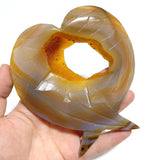 6 Pieces Geode Druzy Agate Fish Carving With Stand - Wholesale Crystals