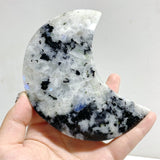 6 Pieces India Moonstone Moon Carving With Stand -Wholesale Crystals
