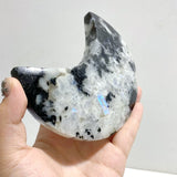 6 Pieces India Moonstone Moon Carving With Stand -Wholesale Crystals