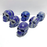 6 Pieces Lapis Lazuli Skull Carving - Wholesale Crystals