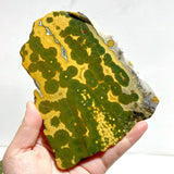6 Pieces Large 8th Vein Ocean Jasper Slabs - Wholesale Crystals