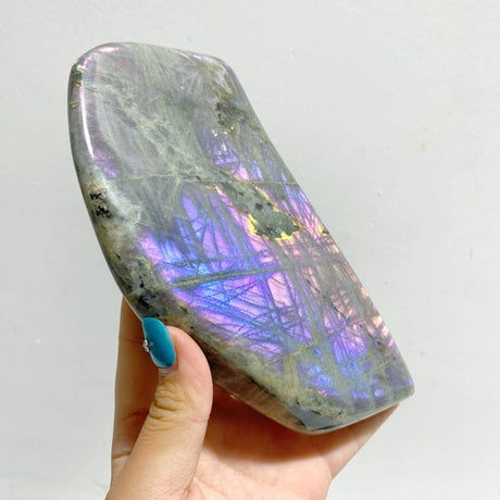 6 Pieces Large Beautiful Polished Labradorite Free Form - Wholesale Crystals