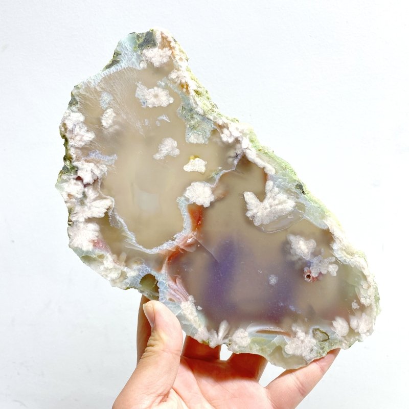 6 Pieces Large Green Sakura Flower Agate Slabs - Wholesale Crystals