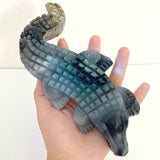 6 Pieces Large Volcano Agate Crocodile Carving(UV - Reactive) - Wholesale Crystals