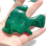 6 Pieces Malachite Sea Animals Carving - Wholesale Crystals