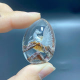 6 Pieces Nine - tailed Fox Garden Quartz Inner Scene Carving - Wholesale Crystals