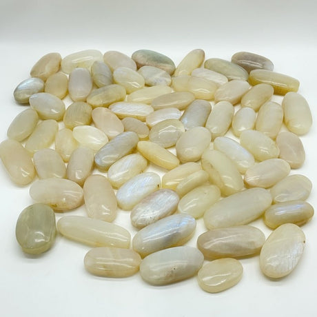 67 Pieces High Quality Small Blue Moonstone Palm -Wholesale Crystals