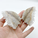 Clear Quartz Cluster Butterfly Wing With Stand Wholesale