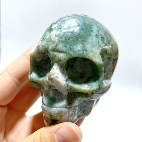 6 Pieces Moss Agate Skull Carving