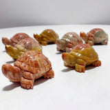 7 Pieces High Quality Coral Jade Turtle Carving #2 - Wholesale Crystals