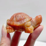 7 Pieces High Quality Coral Jade Turtle Carving #2 - Wholesale Crystals