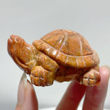 7 Pieces High Quality Coral Jade Turtle Carving #3 - Wholesale Crystals