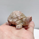 7 Pieces High Quality Coral Jade Turtle Carving #3 - Wholesale Crystals