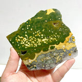 7 Pieces Large 8th Vein Ocean Jasper Slabs - Wholesale Crystals